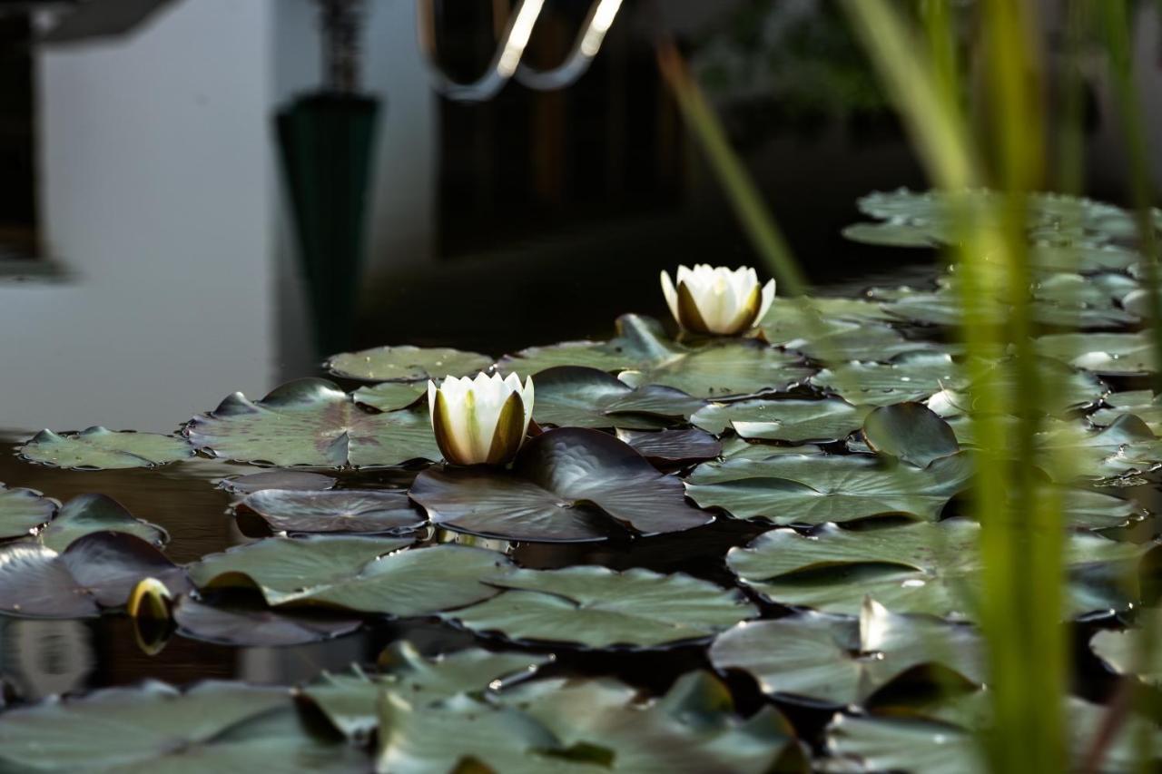 Flora - Das Kleine Gartenhotel エルマウ エクステリア 写真