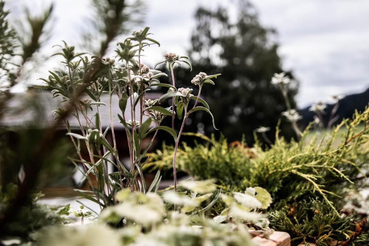 Flora - Das Kleine Gartenhotel エルマウ エクステリア 写真